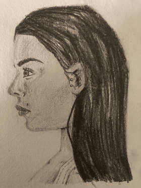 Profile sketch