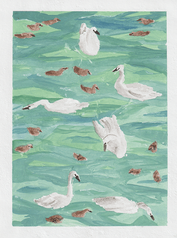 Swan painting